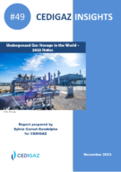 New report : UNDERGROUND GAS STORAGE IN THE WORLD - 2023 STATUS